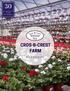 Cros-B-Crest Farm Wholesale Greenhouse Production Serving Virginia, Maryland, and North Carolina since 1986
