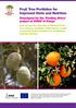 Fruit Tree Portfolios for Improved Diets and Nutrition