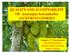 QUALITY AND ACCEPTABILITY OF Artocarpus heterophyllus JACKFRUIT COOKIES