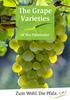 The Grape Varieties. of the Palatinate