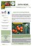 SAPIA NEWS. Invasive berry-producing Solanaceae SOUTHERN AFRICAN PLANT INVADERS ATLAS. Inside this issue: Pretty but poisonous and invasive.