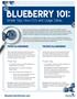 Blueberry. Simple Tips, How-To s and Usage Ideas