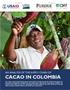 AN ANALYSIS OF THE SUPPLY CHAIN OF CACAO IN COLOMBIA
