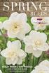 BULBS GOLD MEDAL DAFFODILS AND OTHER FINE BULBS. Price Androcles pg.3