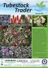 Tubestock Trader. January Continued on page 4. Salvia nemorosa 'Caradonna' T/C NEW. Eryngium x zabelli 'Violetta' T/C NEW