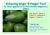 Achieving larger Ettinger fruit by foliar application of Plant Growth Regulators (PGRs)