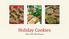 Holiday Cookies. Three Can t-miss Recipes