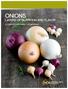 ONIONS LAYERS OF NUTRITION AND FLAVOR A COMPLETE RESOURCE FOR DIETITIANS