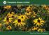 Prenplants Sussex Limited. Peat Free Plants Catalogue