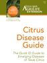 Citrus. Disease Guide. The Quick ID Guide to Emerging Diseases of Texas Citrus. Citrus. Flash Cards. S. McBride, R. French, G. Schuster and K.
