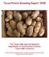Texas Potato Breeding Report 2018