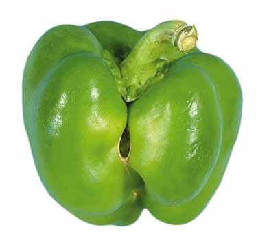 UNECE Explanatory Brochure on the Standard for Sweet Peppers Photo 9 Minimum requirement: intact.