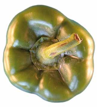 UNECE Explanatory Brochure on the Standard for Sweet Peppers Photo