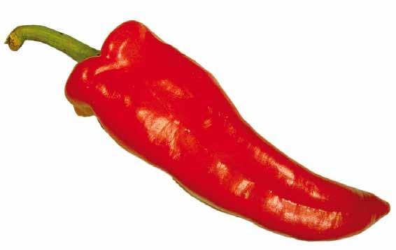 Provisions concerning Quality B. Classification Sweet peppers are classified in three classes, as defined below: (i) Extra Class Sweet peppers in this class must be of superior quality.