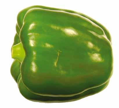 UNECE Explanatory Brochure on the Standard for Sweet Peppers Photo 36 Classification: Extra Class.