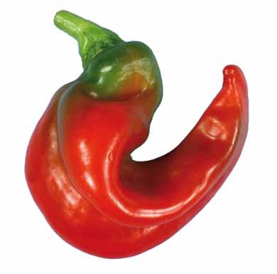 UNECE Explanatory Brochure on the Standard for Sweet Peppers Photo 54 Classification: Class II, defects in shape.