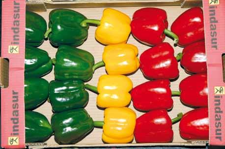 UNECE Explanatory Brochure on the Standard for Sweet Peppers Photo 75 Presentation: Uniformity acceptable colour range for peppers turning colour in Classes Extra and I 60 However, a mixture of sweet