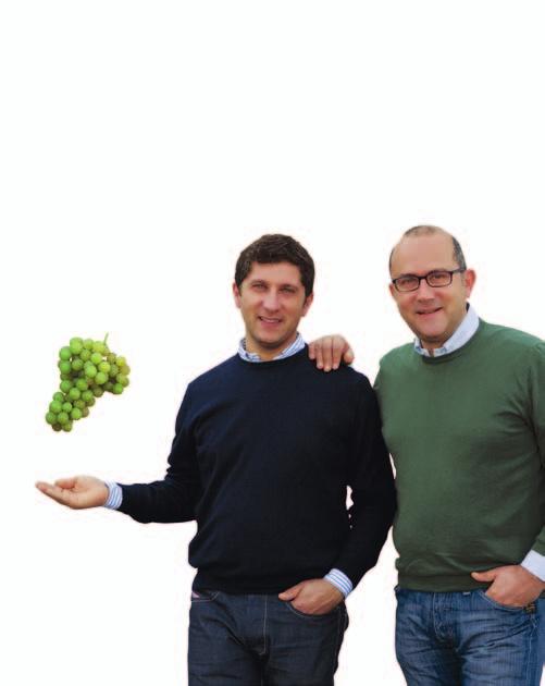 To this end, the partners have been working together first to meet the demand for high-quality table grapes that do not exceed the maximum residue levels established by the European Union, and second