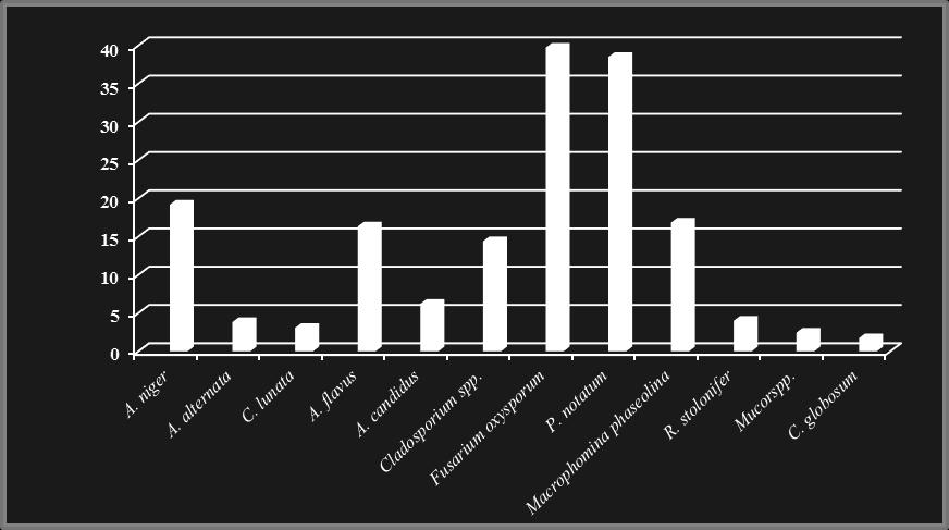 stolonifer (6 %), C. lunata (6 %), A. aternata (5 %), C. globosum (4 %) and Mucor sp. (2%). Ramesh et al., also reported M. phaseolina (27.0 28.0%), F.