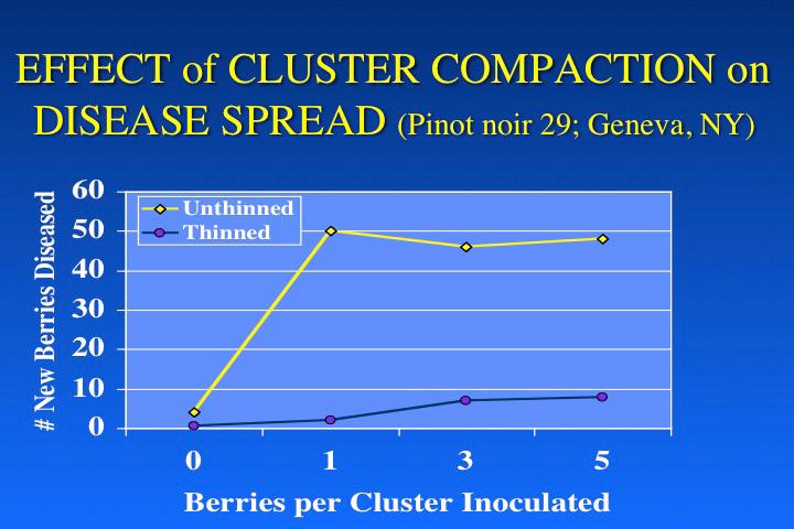 Data reflect the number of additional berries to which the disease had spread by harvest.