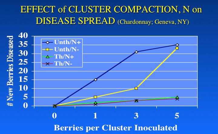 Figure 7. Preharvest spread of Botrytis on Chardonnay berries as affected by the number of initial infection sites, cluster architecture, and berry nitrogen status.