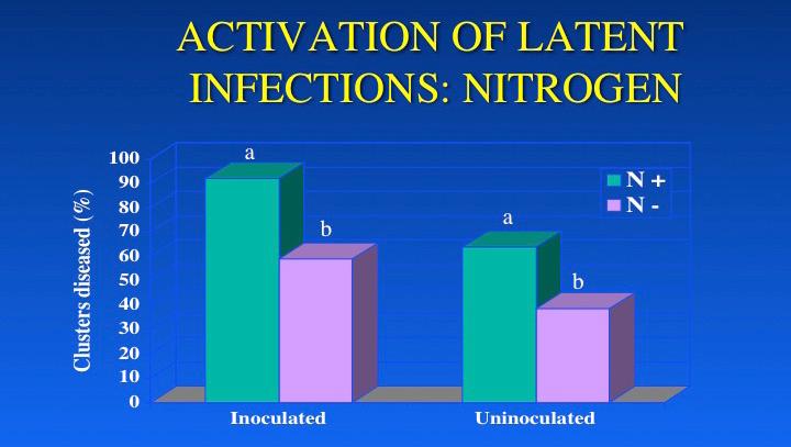 ease, we decided to see whether it might also promote the activation of latent infections.