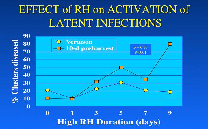 Figure 11. Effect of relative humidity on the activation of latent infections.