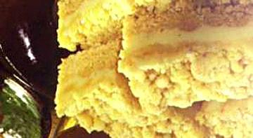Lemon Crumb Bars 1 pkg. lemon or yellow cake mix 1/2 c. butter or margarine, softened 1 egg 2 c. finely crushed saltine crackers 3 egg yolks 1 (14-oz.) can Eagle Brand milk 1/2 c.