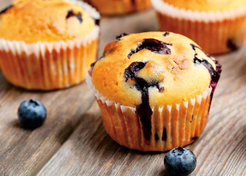 BLUEBERRY MUFFIN APPLICATION RESEARCH COMPARING THE FUNCTIONALITY OF