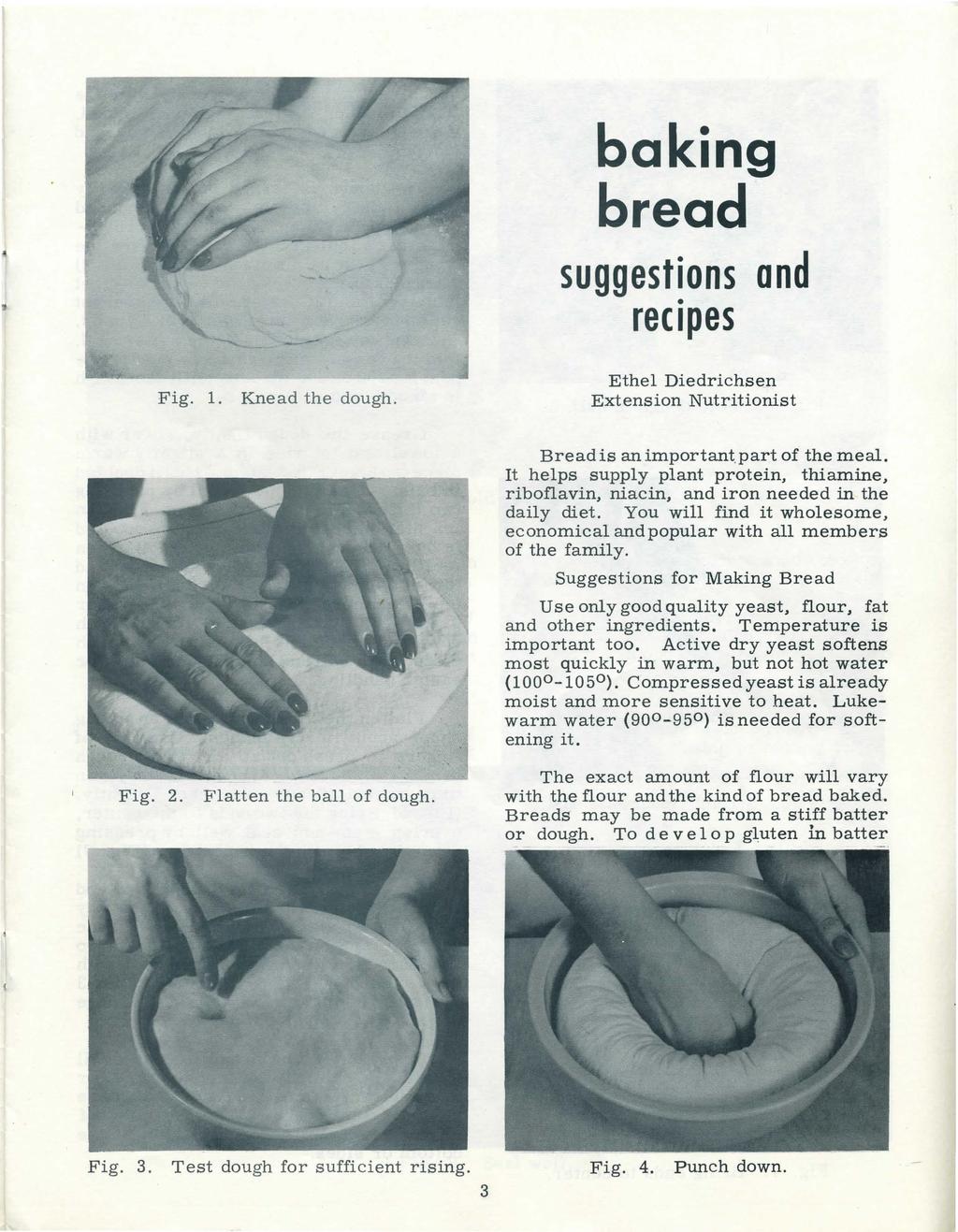 Fig. 1. Knead the dough. baking bread suggestions and rec1pes Ethel Diedrichsen Extension Nutritionist B r ead is an important part of the meal.