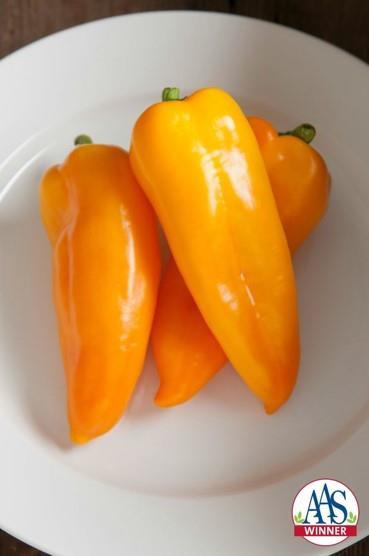 Sweet Pepper CORNITO GIALLO (OG) 55 days green/75 days yellow. New! Half-size corno di toros.