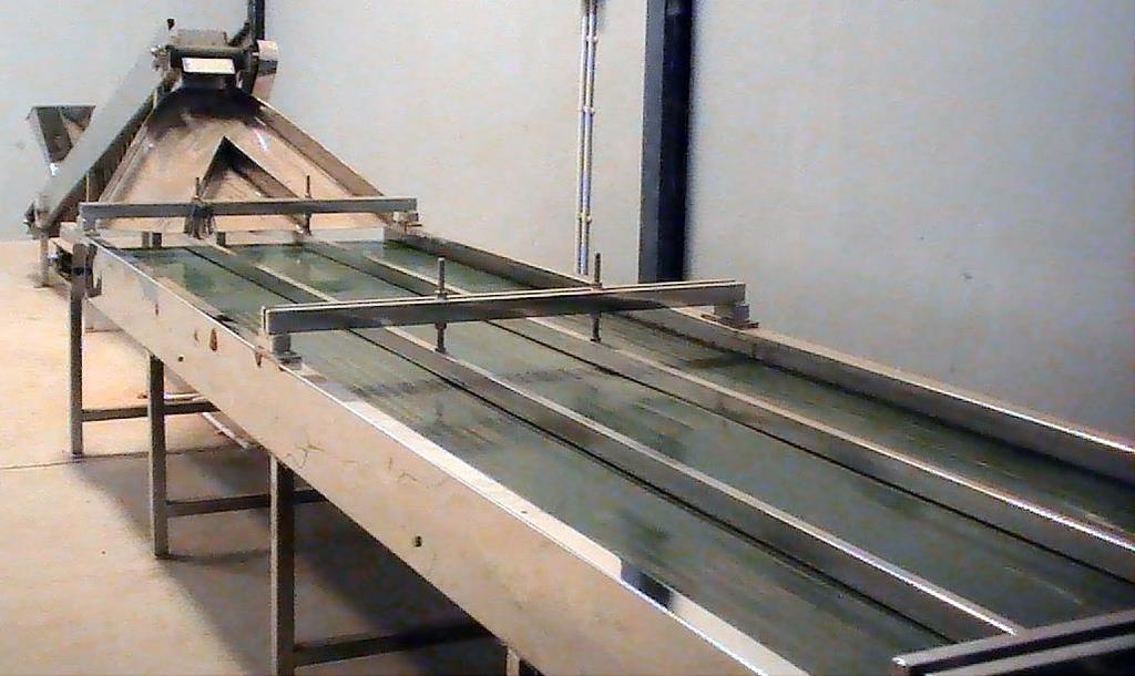 Working Table with slant Conveyor Slant Conveyor is used to feed shelled raw cashew nuts on to the
