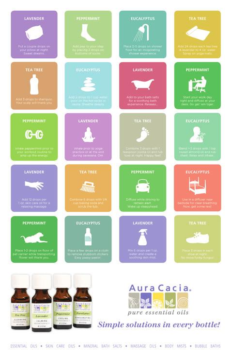 Literature Essential Oil Tips Window Cling Poster Increase your essential oil sales and educate customers
