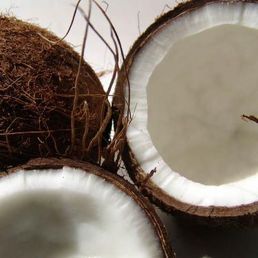 IMAGE SCENT DESCRIPTION Dark Coconut A buttery rum top note leading to a sweet creamy