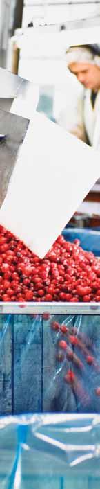 Work with premium large Grade A cranberries Allergen/Gluten/GMO- FREE facilities Worldwide certified (EU, JAS, USA, CANADA ) World leader for organic cranberries INNOVATION WHAT MAKES
