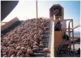 potatoes. The storage has a center plenum for delivery of air into 2 separate bays.