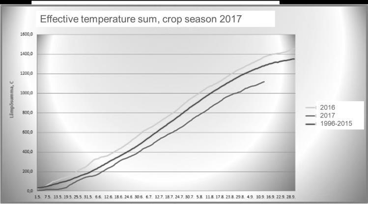 In southern parts of Finland, the effective temperature sum needed for the malting barley varieties was finally achieved in the mid of September.