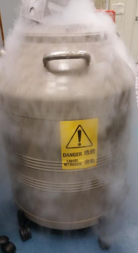 Cold storage: Freezing Cryogenic freezing Food is immersed or sprayed with liquid nitrogen Used for delicate products and fruits, e.g. raspberries, prawns and strawberries What is liquid nitrogen?