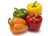 Quality Criteria for Marketing Chiles and Peppers Shape, size and color typical of cultivar Bright glossy appearance;