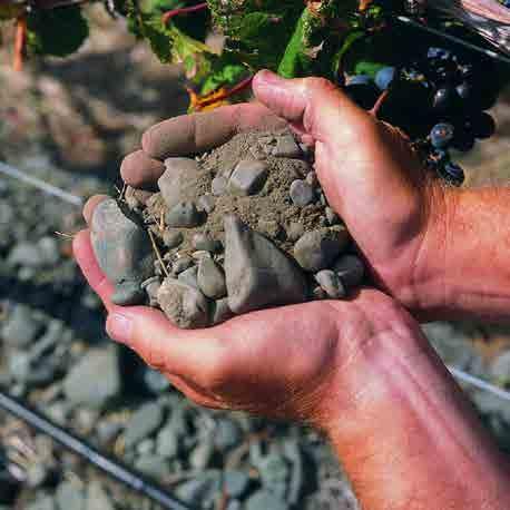 New Zealand viticulturists lead the way in employing practices that preserve and enhance the soil in