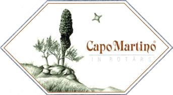 CAPO MARTINO IGT: Mosly Friulano with Ribolla Gialla, Malvasia Istriana, and Picolit from a vineyard with a southwest/southeast exposure located in the heart of Collio.