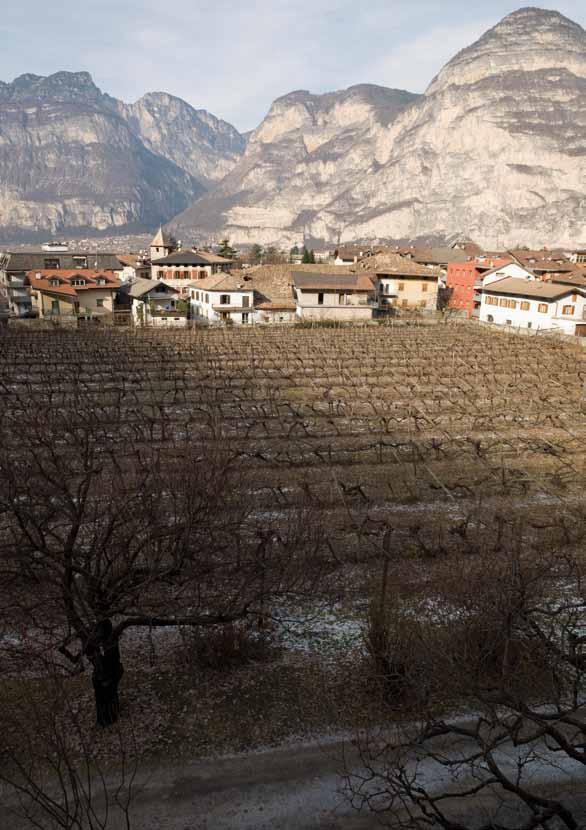 The detrital soil, of mainly dolomite lithology, partly porphyric, is the ideal substratum to produce a unique Lagrein wine, with distinctive notes of red fruits.