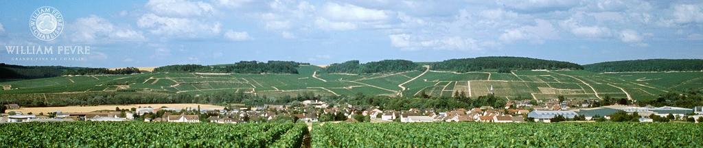The Wine Emporium is proud to offer the 2011 vintage wines from Domaine William Fevre, Chablis, FR.