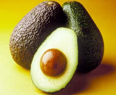 Factors to consider when ripening avocado Mary Lu Arpaia Univ.