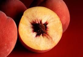 Ripens late July to early August (25'x20') PEACH, Red Haven A spreading & branchy Peach