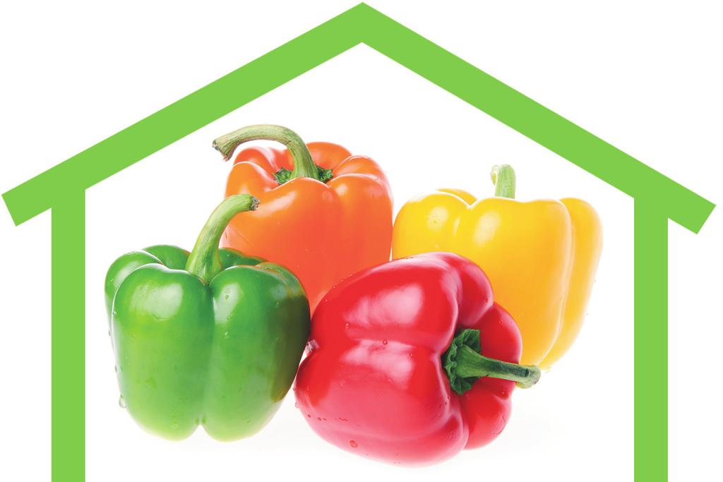 Peppers (greenhouse) Bell peppers are among the many common household varieties of capsicum annuum, an annual shrub belonging to the nightshade family.