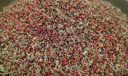 Cover Crop Blends (NEW!