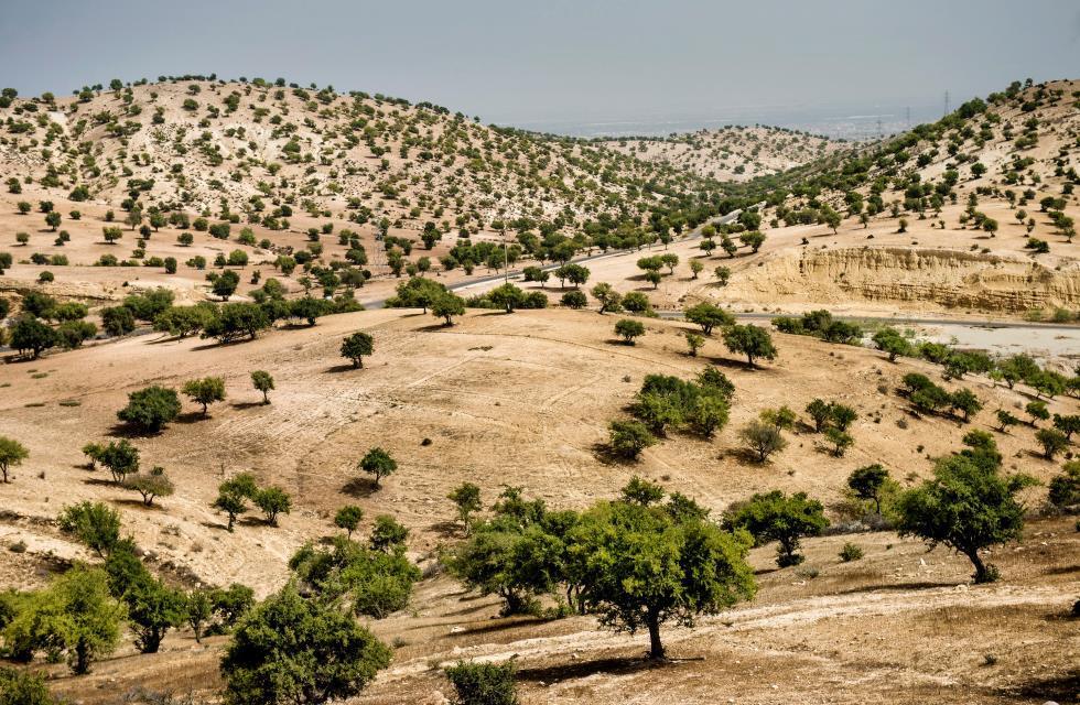 The Souss-Massa-Drâa region is facing many challenges, such as desertification, illiteracy and poverty in the Berber
