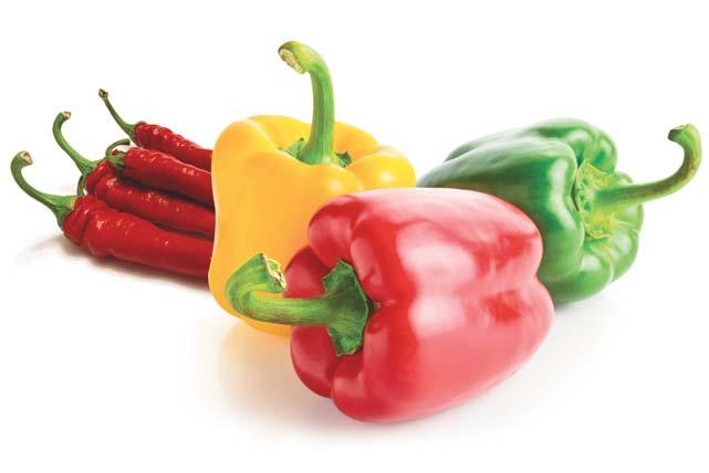 Peppers Peppers, part of the Solanaceae family, are available in both sweet and hot (chili pepper) varieties and can be found growing in warm climates throughout the world.