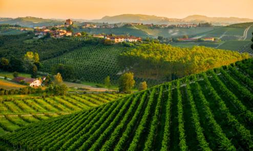 Educational Trip October 29th - November 5th 2018 TEMPT YOUR TASTE BUDS IN OUR JOURNEY THROUGH THE UNDISCOVERED TUSCANY. WE WILL UNEARTH TOGETHER THE TRUE SOUL OF THIS LAND.